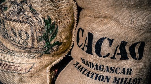 cacao