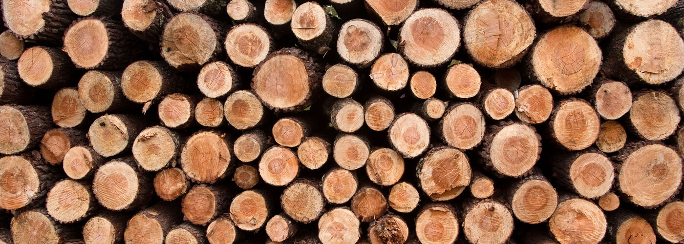 troncs d'arbres empilés 