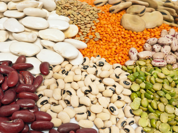 Légumes secs